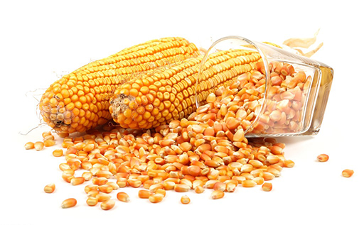 1667609127133964.png 圖片6.png