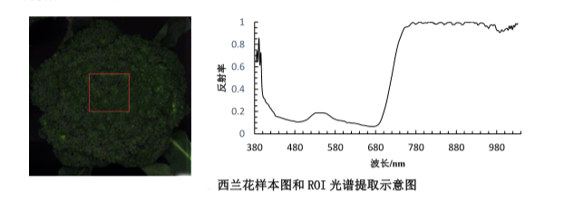 1668039768206695.png 圖片4.png