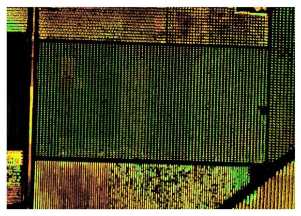 1668581806128229.png 圖片6.png