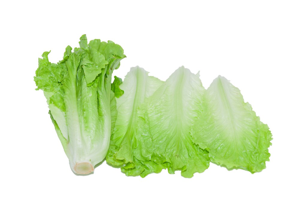 基于高光譜成像光譜儀圖像的生菜葉片氮素含量預測模型研究