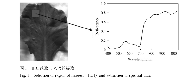 1672898356258544.png 圖片2.png