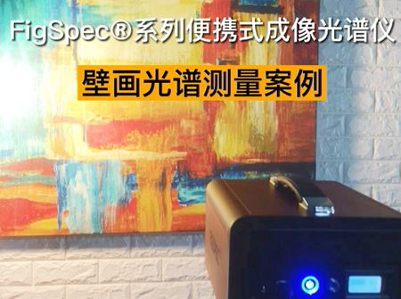壁畫光譜測(cè)量案例