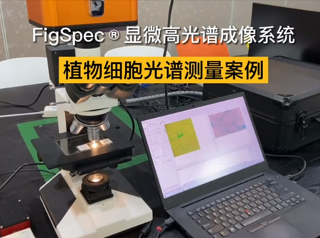 植物細(xì)胞光譜測(cè)量案例