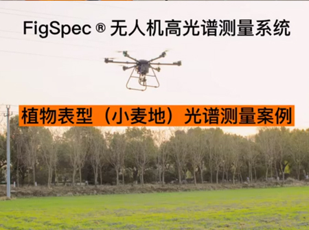 植物表型（小麥地）光譜測(cè)量案例視頻