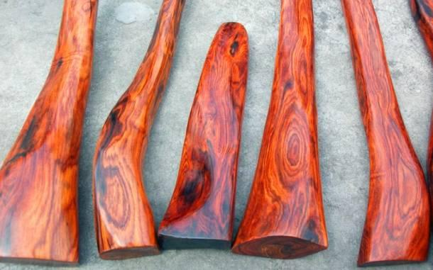 基于高光譜相機成像技術(shù)的紅酸枝品種識別