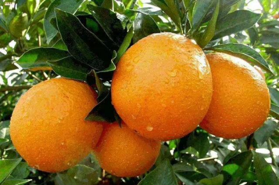 1717662065152540.png image.png