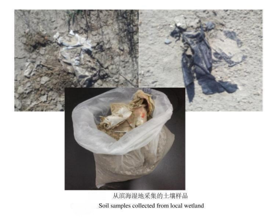 高光譜成像技術在土壤微塑料檢測中的應用與探索