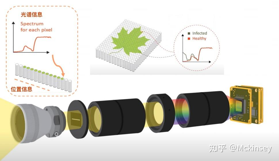 高光譜相機如何檢測煙葉霉變？