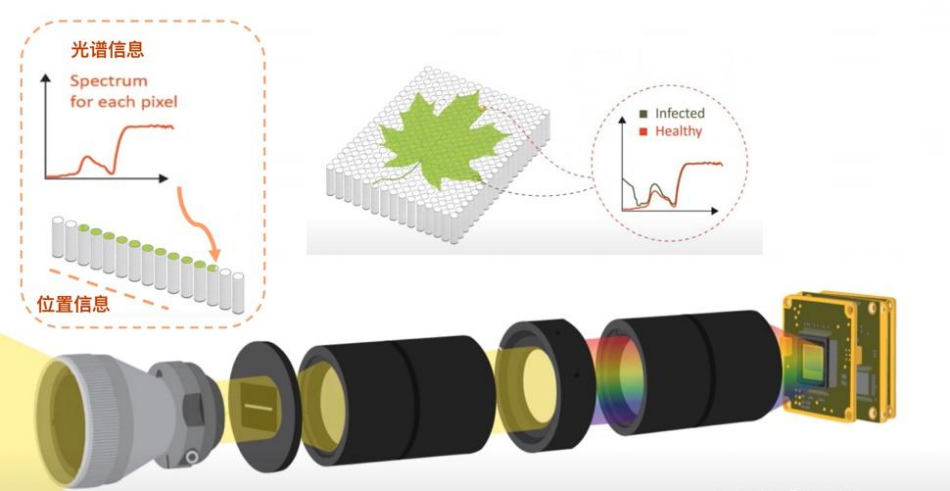 高光譜相機(jī)對(duì)樹葉生理狀態(tài)監(jiān)測(cè)