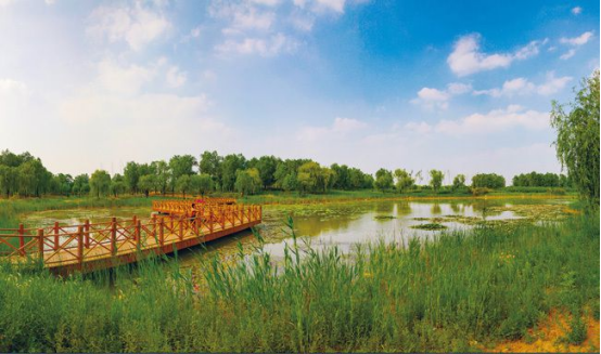 彩譜FigSpec機載高光譜相機FS-60對于洱海濕地植被的光譜分析及識別模型構建