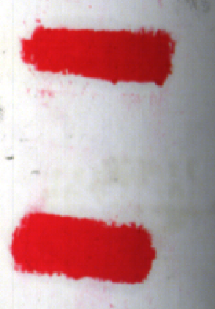 高光譜相機：還原涂抹字跡的新利器