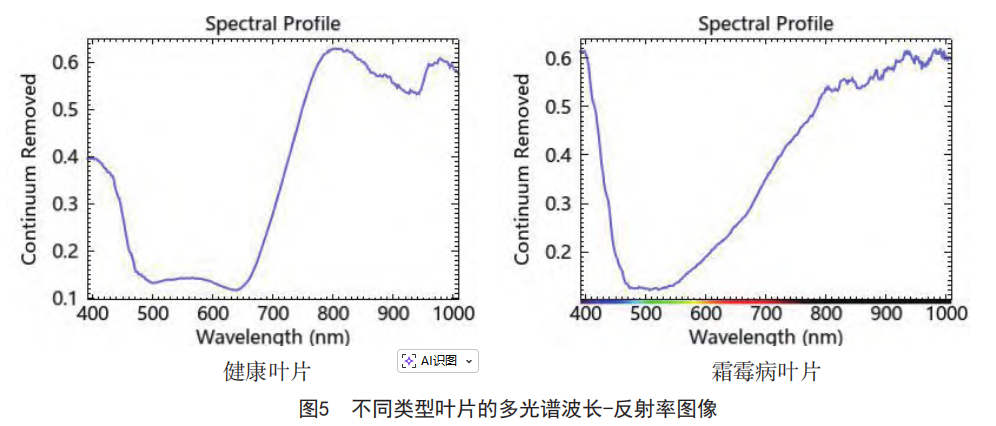 1765871082143640.png 1765871082143640.png