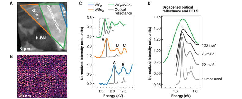 從納觀量子到多維探測：高光譜成像的前沿科研應用案例