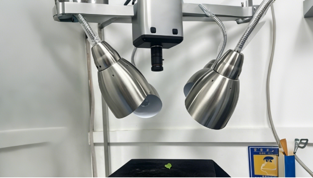 高光譜成像賦能辣椒農殘監測：從實驗室到田間的無損檢測新路徑